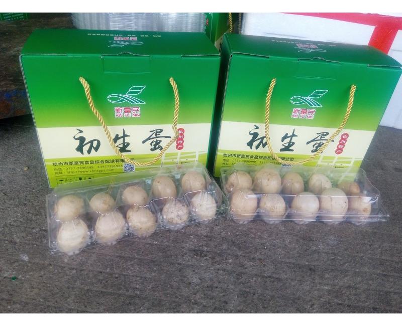 新富民初生蛋-源于天然 滋補(bǔ)有道。