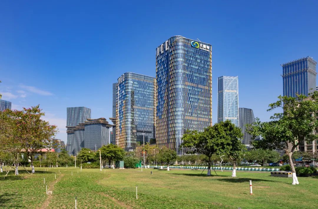 1742369300648200.jpg 1.jpg