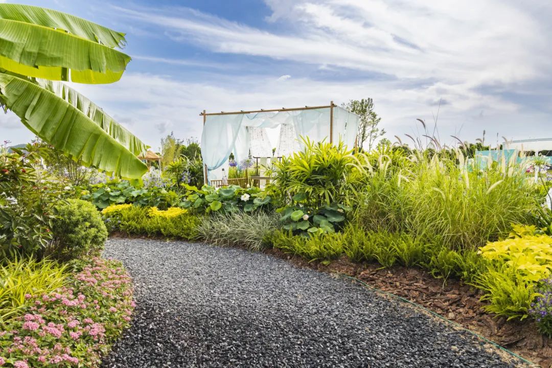 1752481073648810.jpg 27.jpg